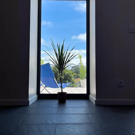 Living Viana do Castelo